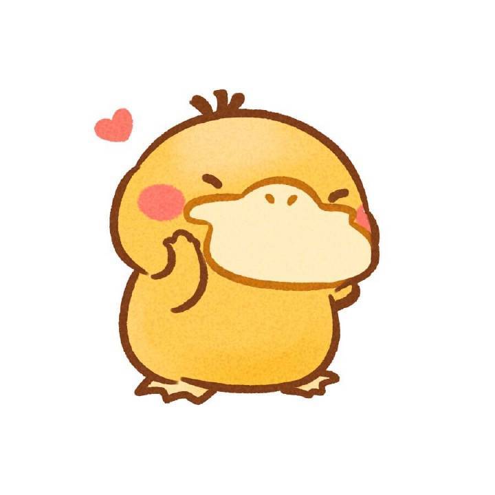 瑶海家教/合肥学院家教